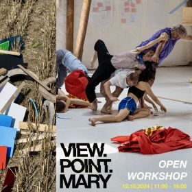 V.P.Mary - workshop socials